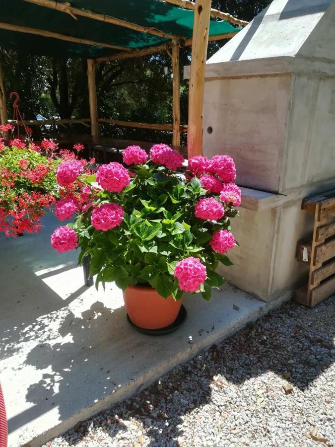 Apartamento Stela Pinezići Exterior foto